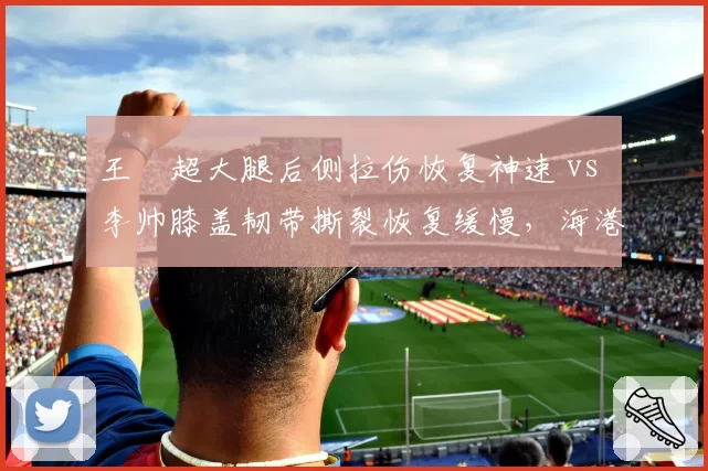 王燊超大腿后侧拉伤恢复神速 vs 李帅膝盖韧带撕裂恢复缓慢，海港左后卫康复进度对比
